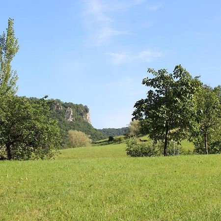 Domaine De Bellevue Gite Du Mont Poupet Marnoz Exterior photo